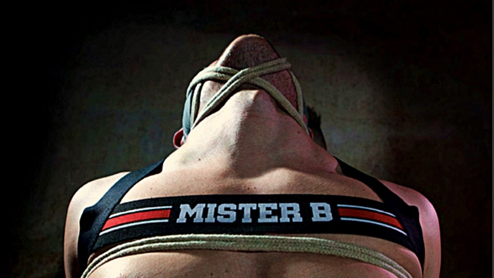 Mr B Wings