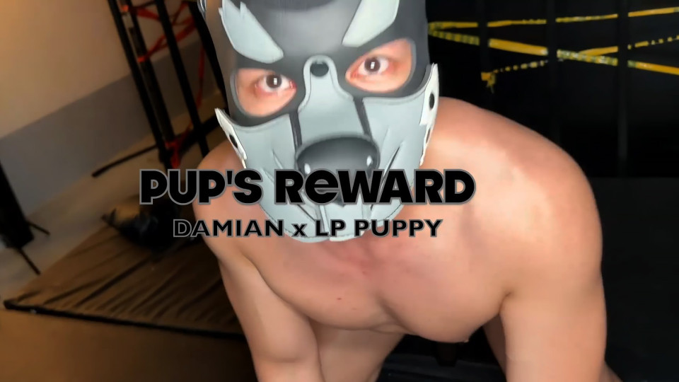 Pup's Reward-Damian x LP Puppy