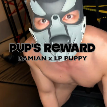 Pup's Reward-Damian x LP Puppy
